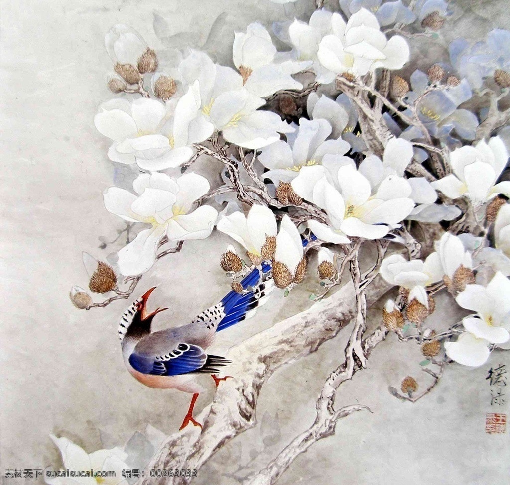 水彩国画 水墨画 国画 水彩画 水彩线描 鸟 喜鹊 花 白色的花 绘画书法 文化艺术