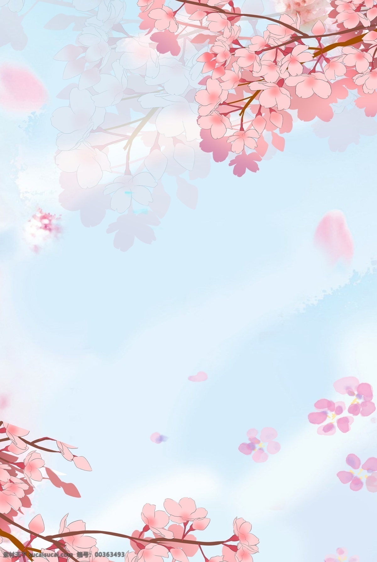 樱花节 唯美 天空 蓝色 背景 桃花节 花卉