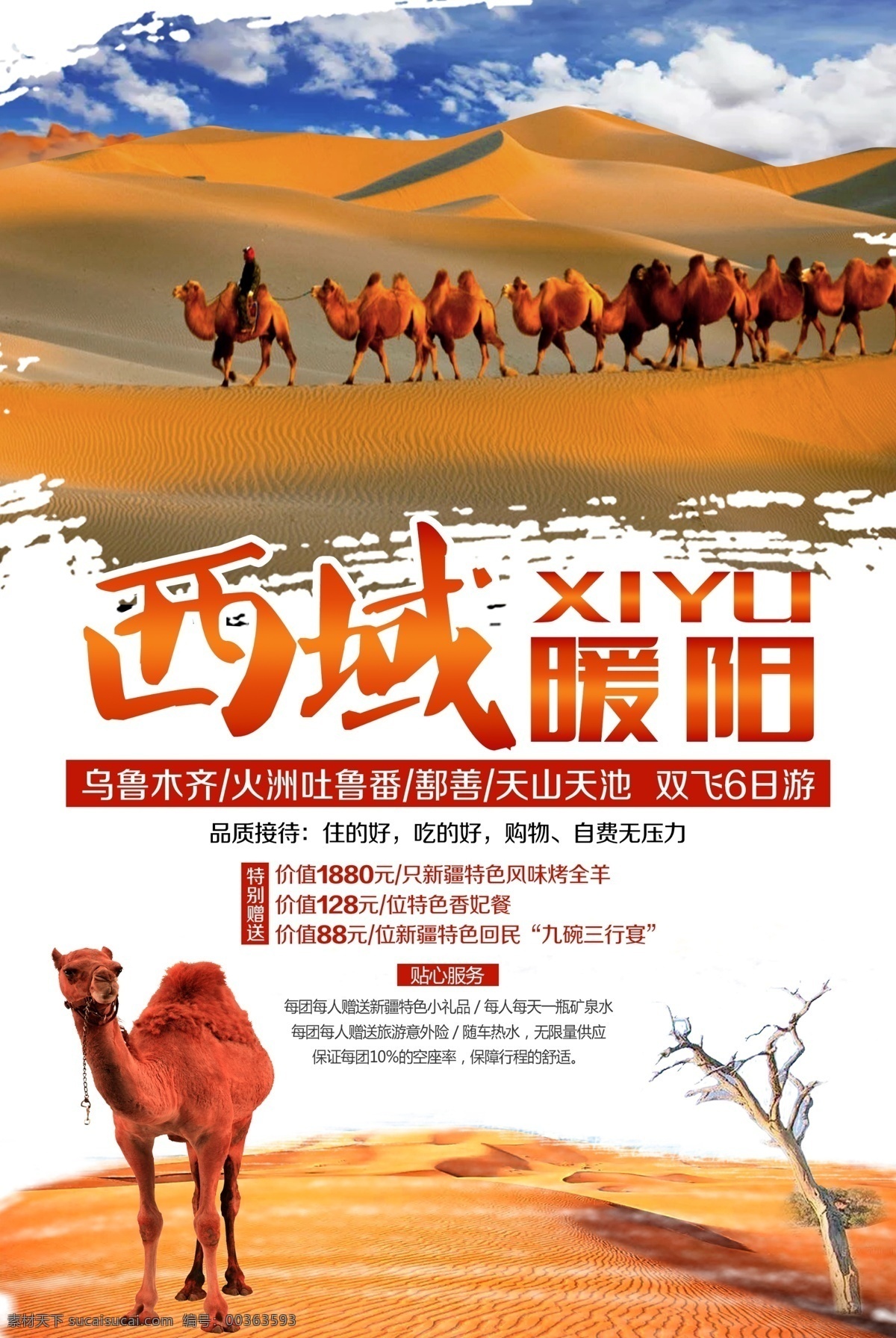 西域暖阳 新疆 旅游 沙漠 骆驼 骆驼队 吐鲁番