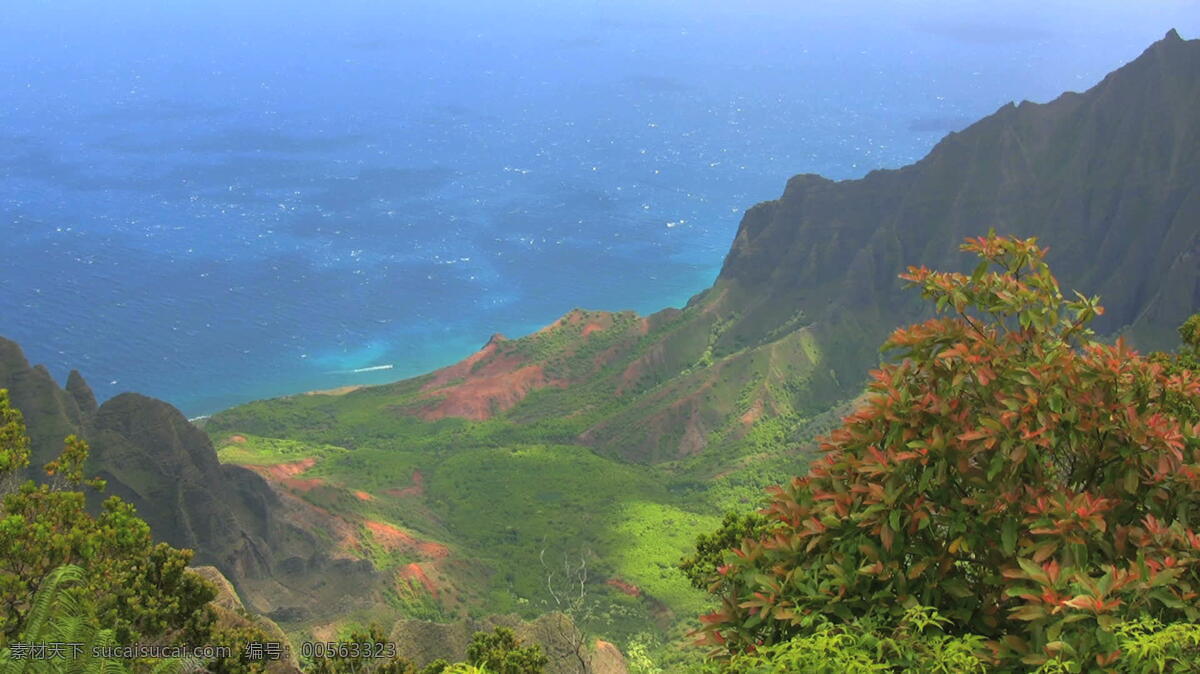 考 艾 峡谷 海 股票 录像 蓝 美丽 热带 夏威夷 悬崖 自然 考艾 陡坡 水 视频 其他视频