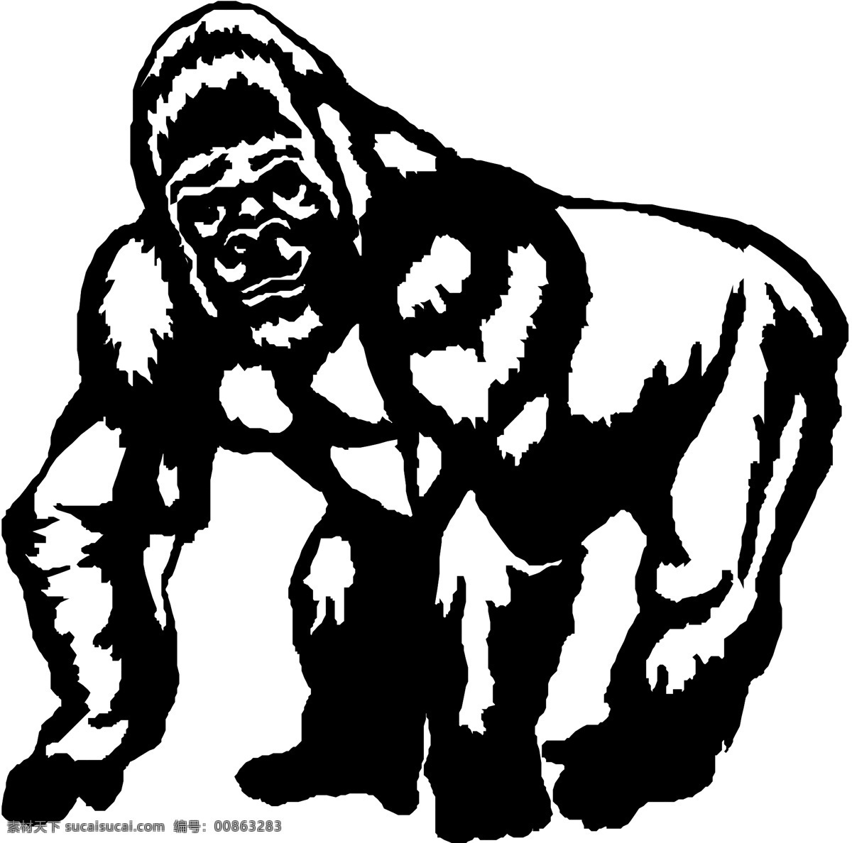 猩猩 野生动物 矢量素材 设计素材 矢量动物 矢量图库 白色