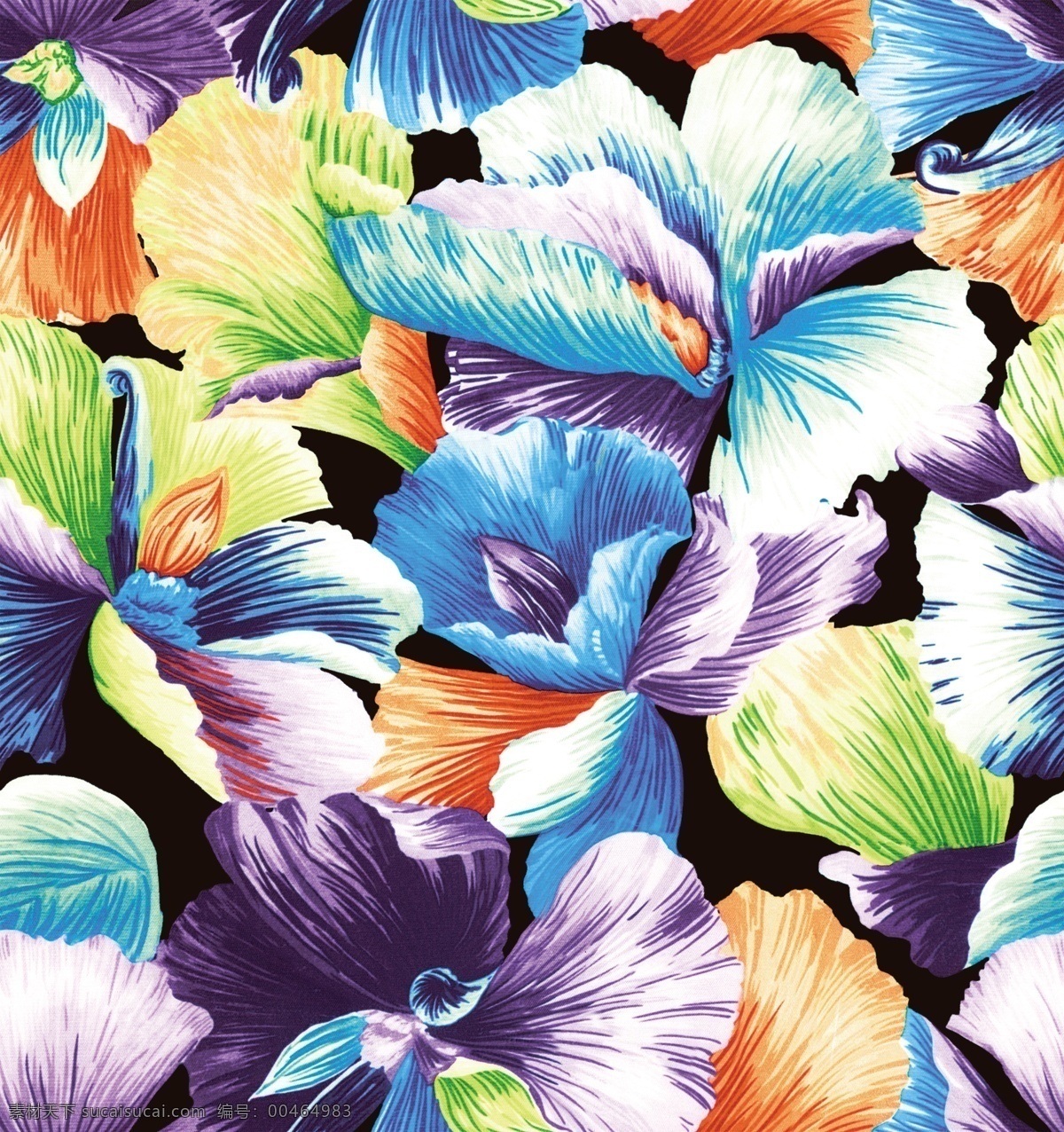 乱花 花朵 花夲 回位花 循环花 自然景观 自然风光
