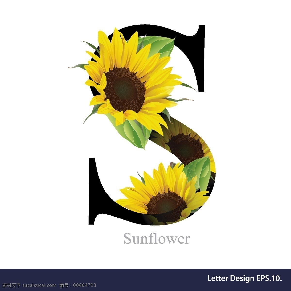 热带 花卉 英文 字母 s 字体 植物 装饰 向日葵 矢量 源文件