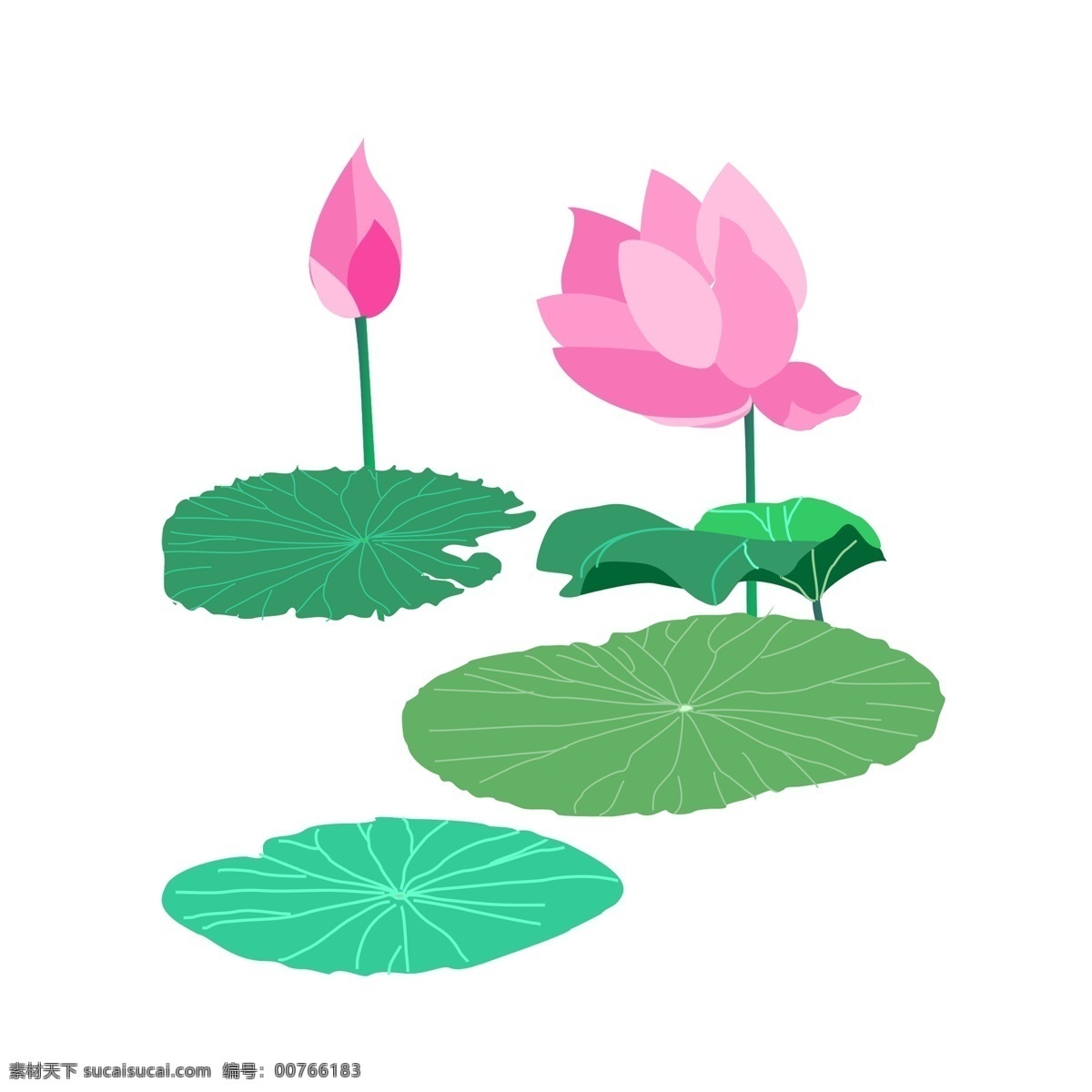 原创 荷花 荷叶 绿色 手绘 风 植物 元素 粉色 植物花朵元素