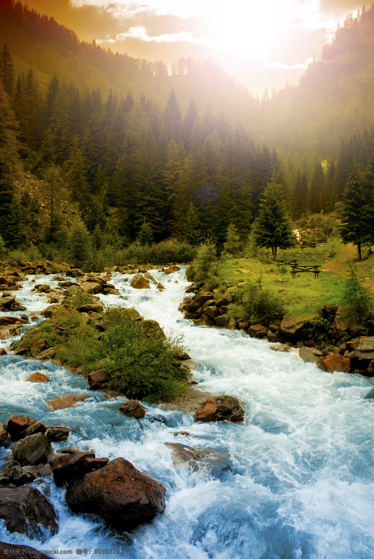 山间 湍急 河流 山 石头 河水 自然风景 山水风景 风景图片