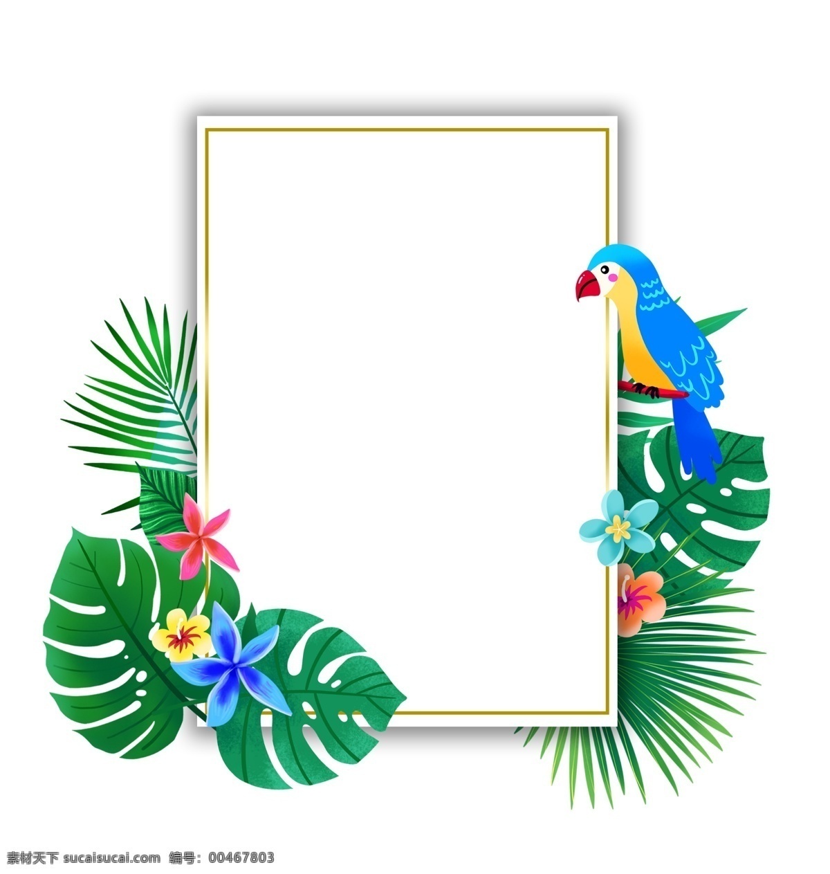 夏季 热带 植物 鹦鹉 边框 夏天 春夏 花朵 度假 叶子 绿色 蓝色鹦鹉 龟背叶