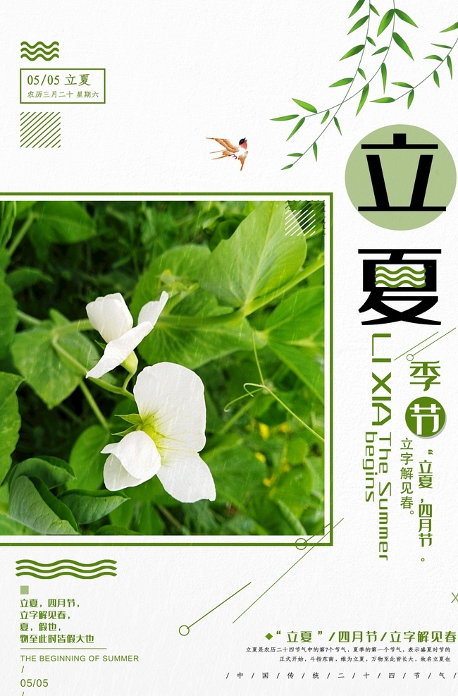 夏天 二十四节气 24节气 榕树 大榕树 大树下 立春 雨水海报 清明 惊蛰 谷雨 寒露 立秋 处暑 白露 秋分 霜降 立冬 小雪 大雪 立夏海报 立夏招贴 立夏手绘 立夏卡通 雨水 立夏宣传海报 中国风 冬至 小寒 春分 小满 芒种 小暑 大暑 夏至