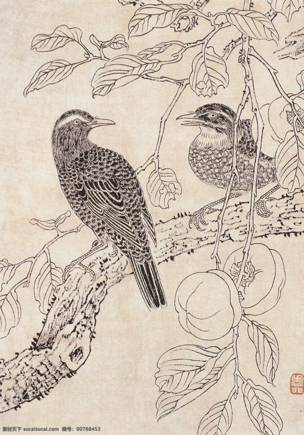 非 闇 花鸟 写生 画稿 于非闇 工笔 美术 大师 工笔画 鸟 树枝 绘画书法 文化艺术
