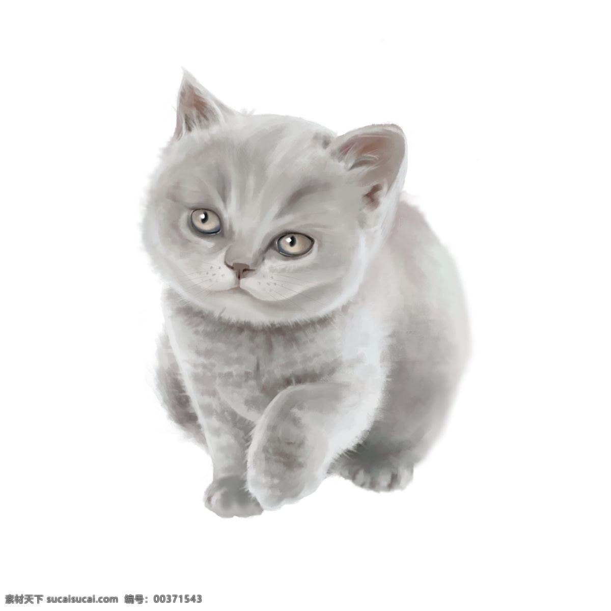 免 抠 手绘 商用 写实 厚 涂 动物 猫 小猫 可爱 免抠 可商用 厚涂