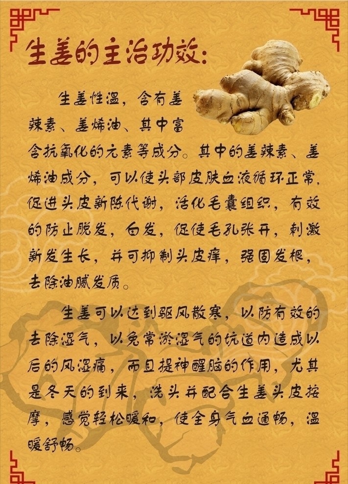 生姜洗发 生姜背胶 姜 姜海报 矢量