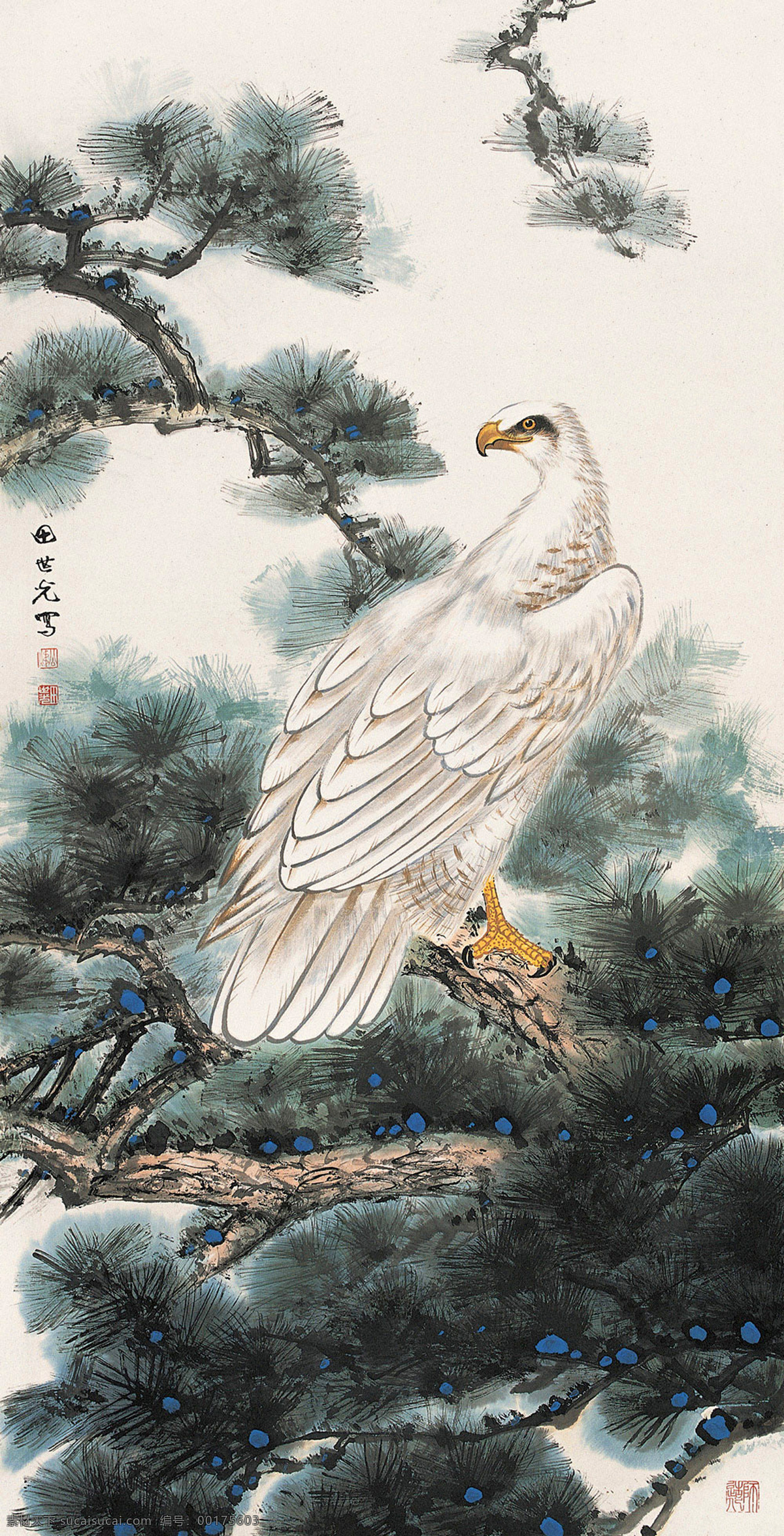 苍松白鹰 国画 田世光 苍松 白鹰 鹰 雄视 传统绘画 绘画书法 国画田世光 文化艺术