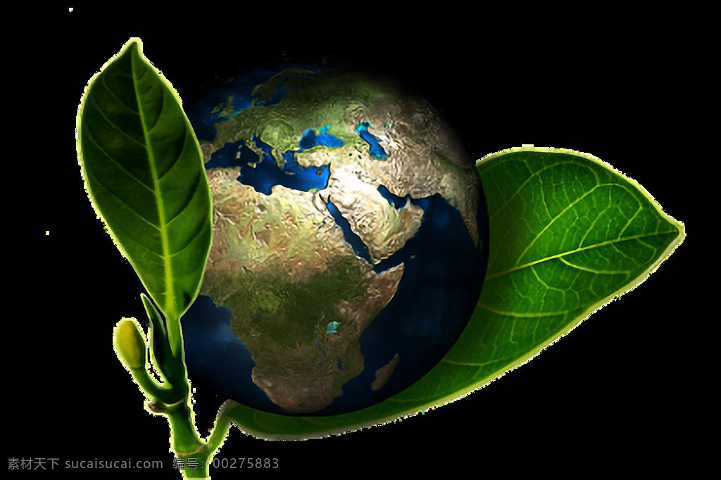 地球 绿叶 免 抠 透明 图 层 地球绿叶 太空 看 真实 最美地球图片 绿色地球 地球图标 卡通地球 手绘地球 ppt素材 科技地球 蓝色地球 地球图片