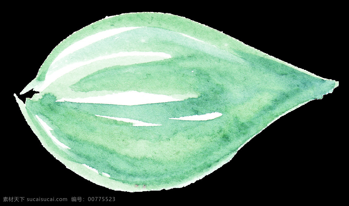 白心 果 叶 卡通 透明 水果 枝叶 透明素材 免扣素材 装饰图案
