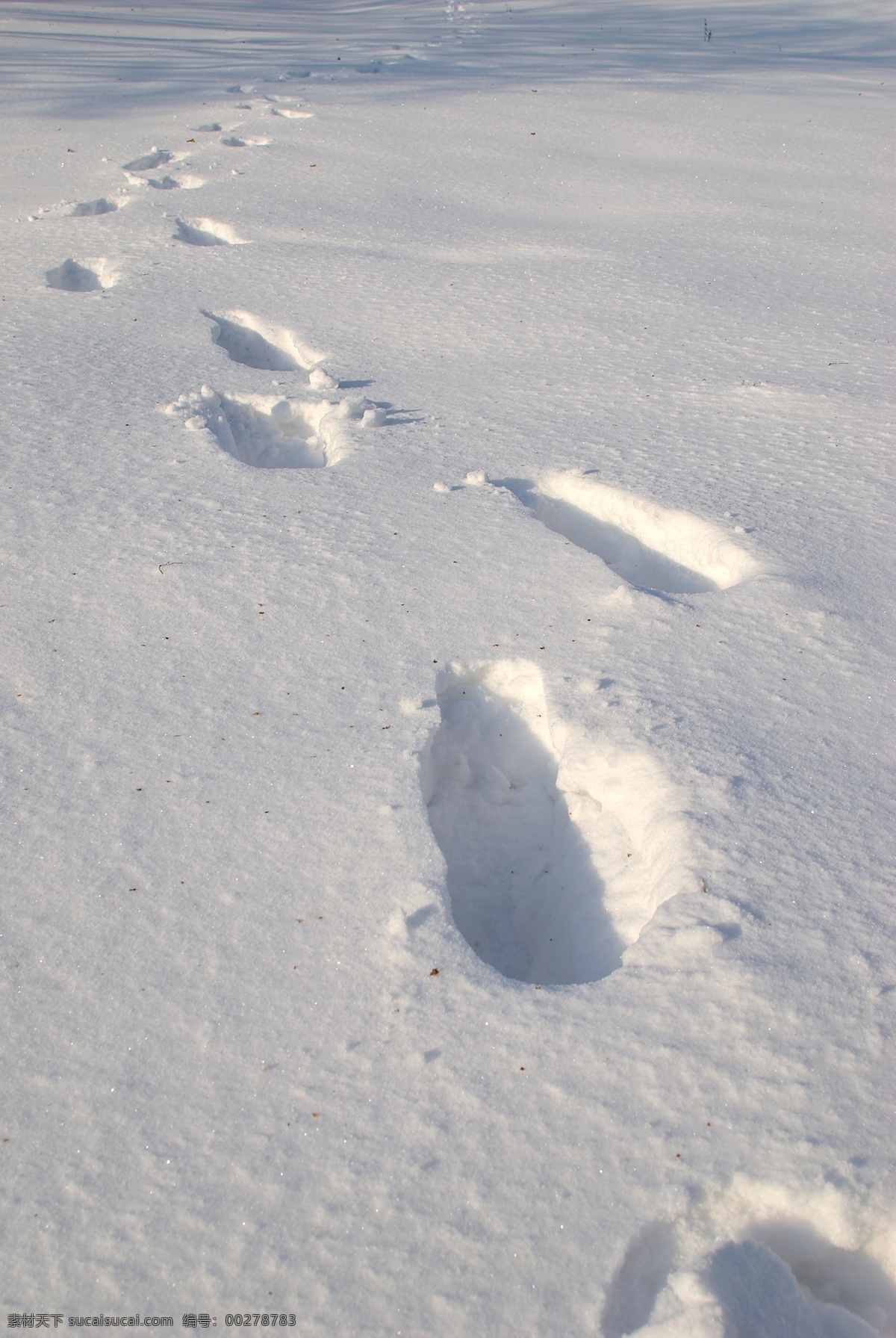 积雪上的脚印 冬天雪景 冬季 美丽风景 美丽雪景 白雪 积雪 风景摄影 雪地 脚印 自然风景 自然景观 灰色