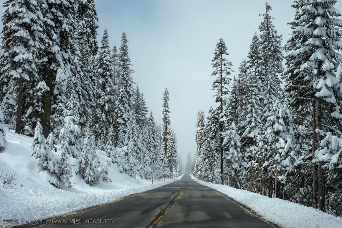 山中雪路 马路 雪 森林 树木 壁纸 背景 美图 风景 插画 冬天 雪路 美景 自然景观 自然风景