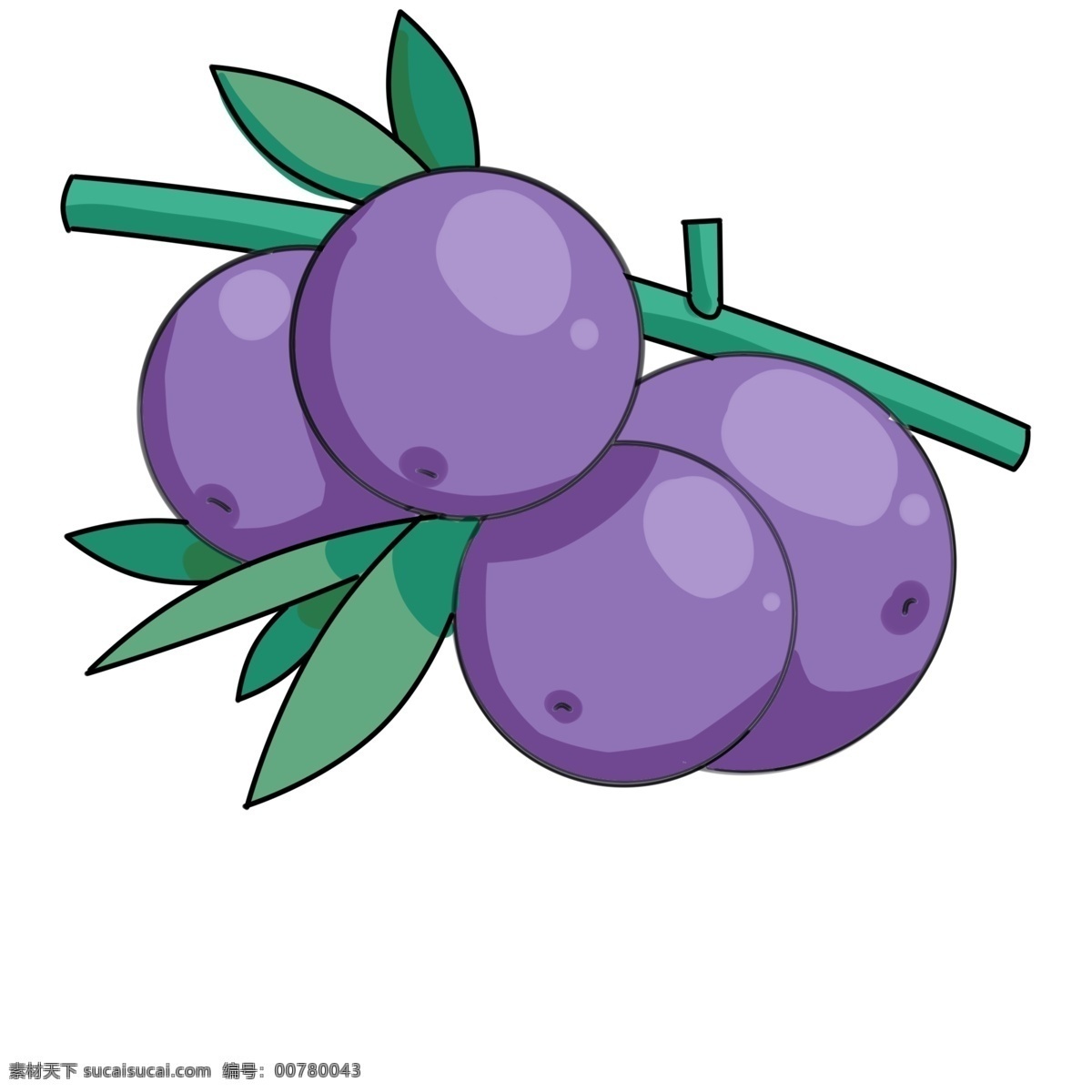 三 只 蓝莓 很 新鲜 枝头 上 三只 大叶子 一个 大蓝莓 独立枝头 油画 紫色 漂亮 文件 晕染 泼墨 叶子