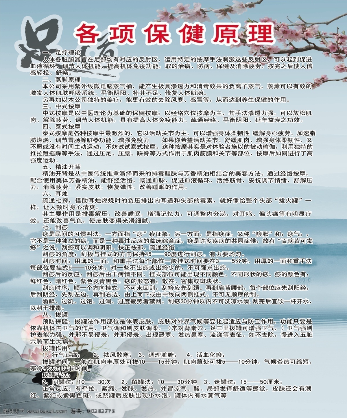颈 肩 保健 好处 功效 颈椎 腰椎 保护 颈肩保健 蓝色典雅背景 梅花 荷花 展板模板