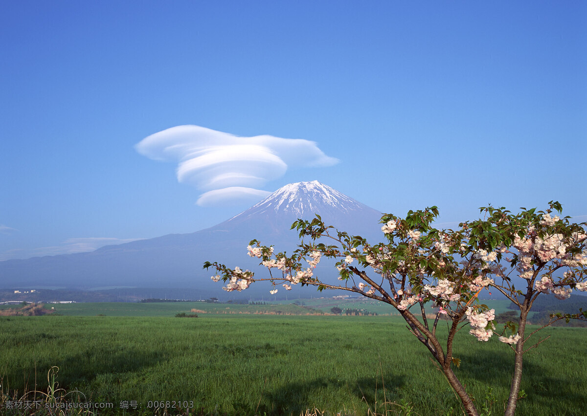 富士山 日本 雪山 旅游 国外旅游 37樱花 自然景观 自然风景 蓝色