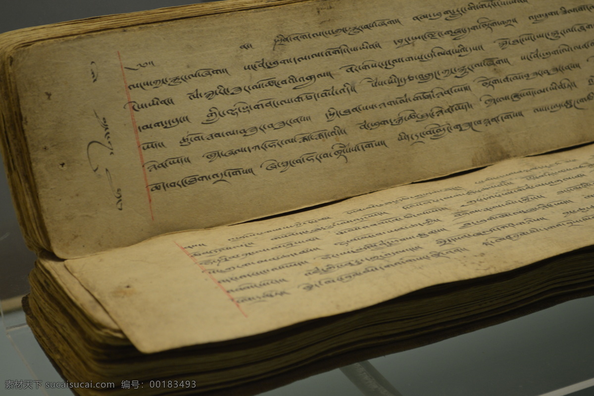 青海省 博物馆 藏文 文献 文字 古代 传统文化 文化艺术 黑色