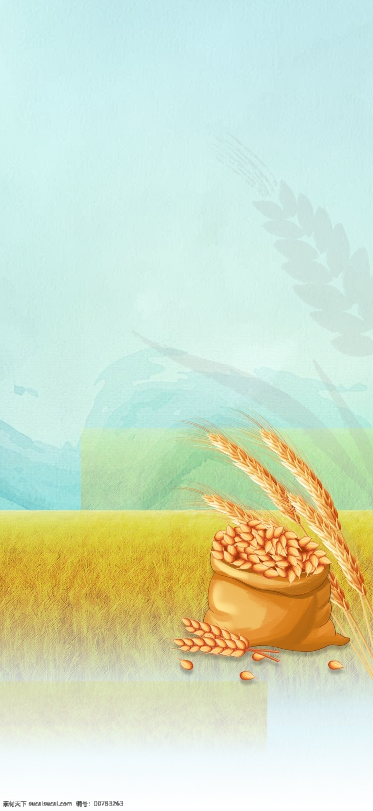 芒种背景 芒种 节日 节气 背景 海报背景 麦浪 麦子 二十四节气
