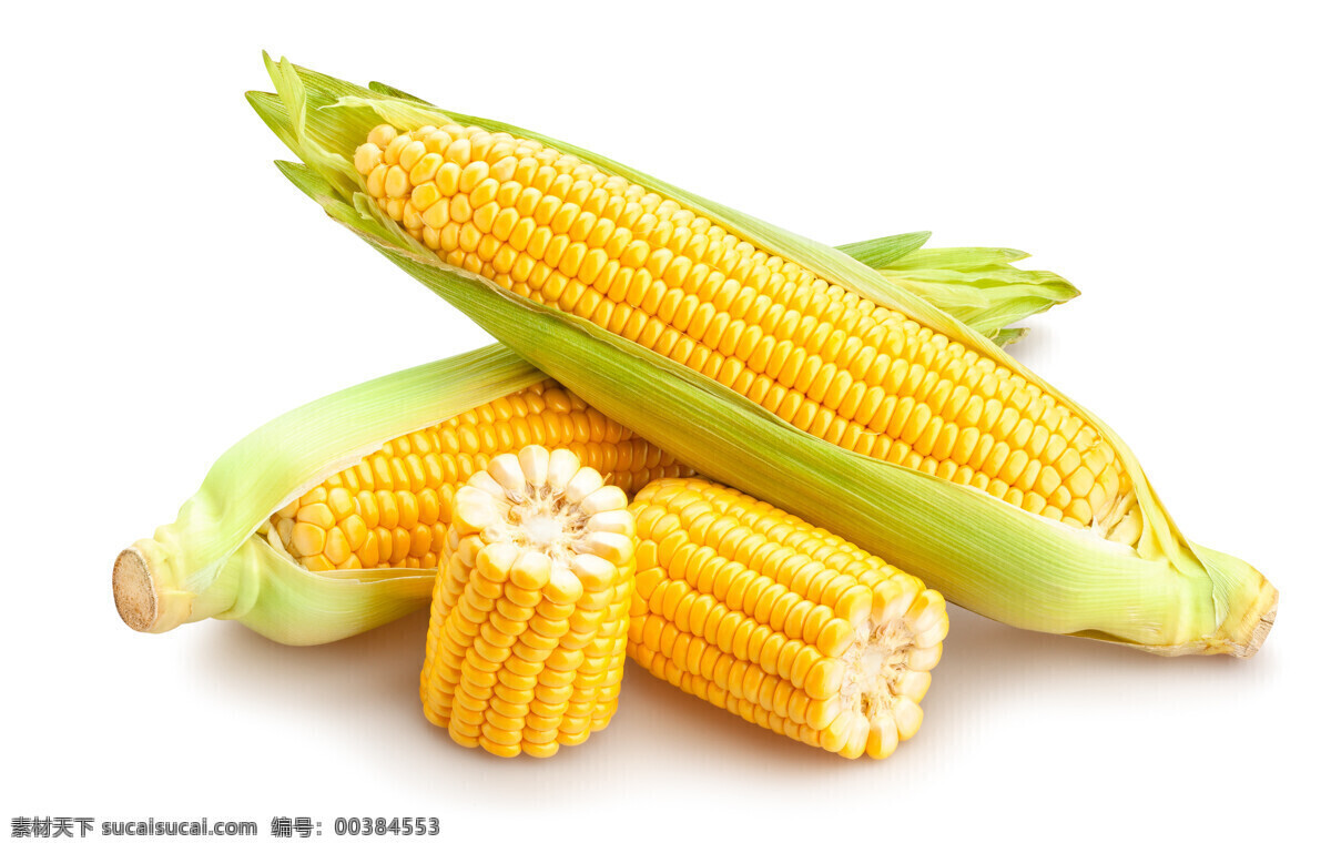 玉米棒 甜玉米 包谷 苞米 棒子 玉米棒子 食物原料 五谷杂粮 各种蔬菜 生物世界 蔬菜