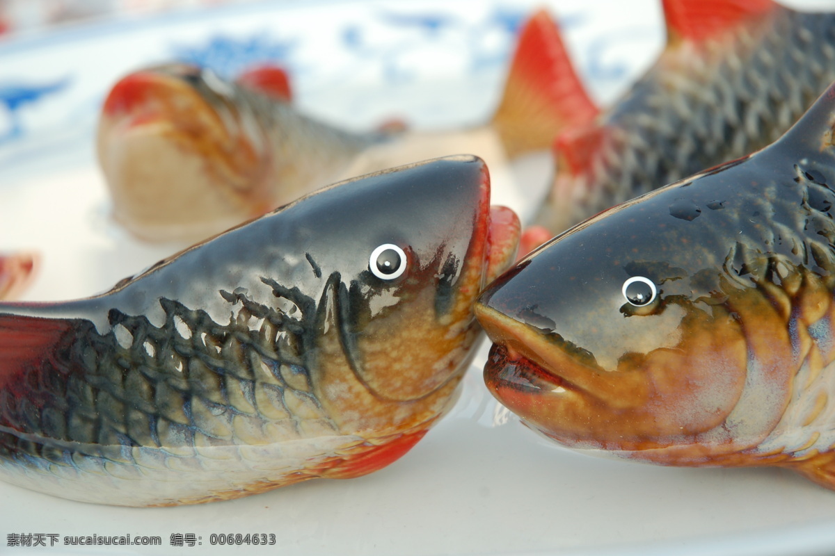 草鱼 生物世界 鱼类 亲密的鱼