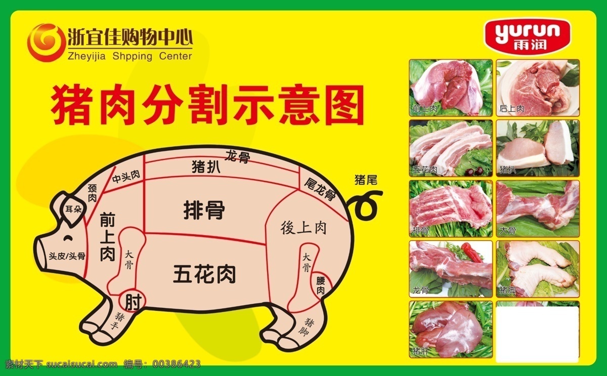 猪肉分割图 购物中心 商场促销dm 雨润 肉类 新鲜猪肉