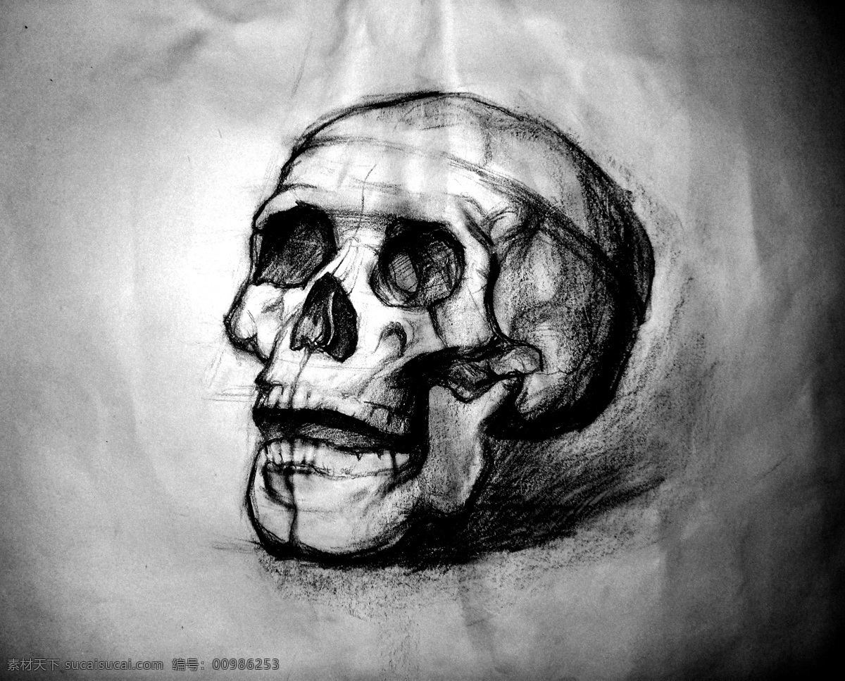 骷髅素描 骷髅 头骨 结构素描 素描 铅笔画 石膏 人体 明暗素描 美术 炭笔 绘画书法 文化艺术