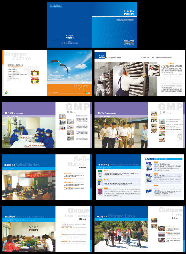 企业 画册设计 工人 工作人员 开会 蓝色 天空 大鹰 企业画册整套