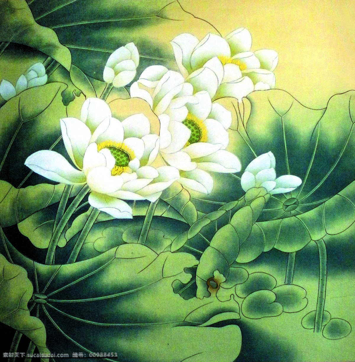 白荷花 美术 中国画 工笔画 荷花 国画荷花 文化艺术 绘画书法