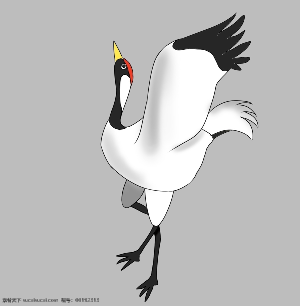 日本 白鹤 装饰 插画 日本白鹤 白色的白鹤 可爱的白鹤 飞舞的白鹤 跳舞的白鹤 白鹤装饰 白鹤插画