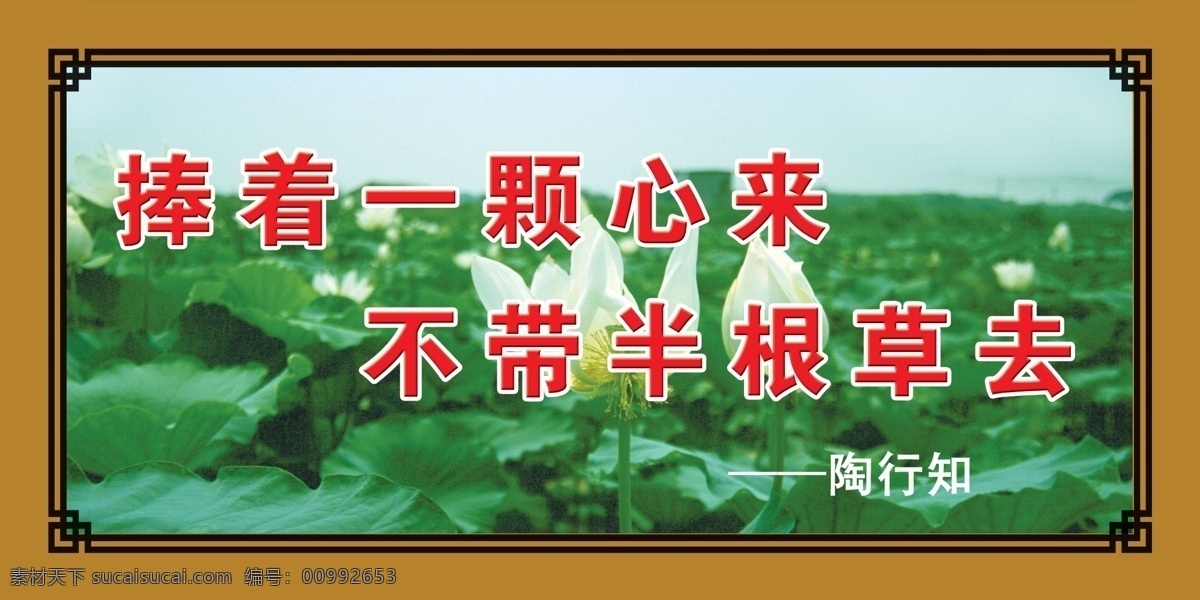 展板免费下载 广告牌 广告设计模板 荷花 模板 源文件 展板 展板模板 制度牌 班级风采 矢量图