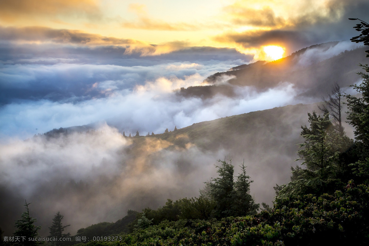 山 景观 薄雾 烟 森林 树 环境 天空 云 阳光 森林薄雾景观