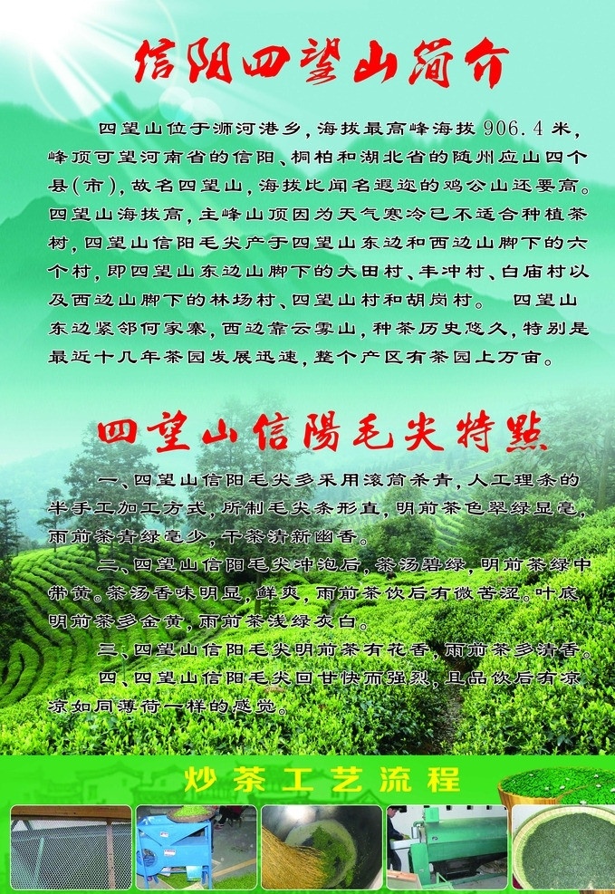 信阳茶 茶 茶山 茶山背景 炒 工艺 流程图 信阳 西 望山 简介 茶文化 绿山背景 信阳毛尖 分层 源文件