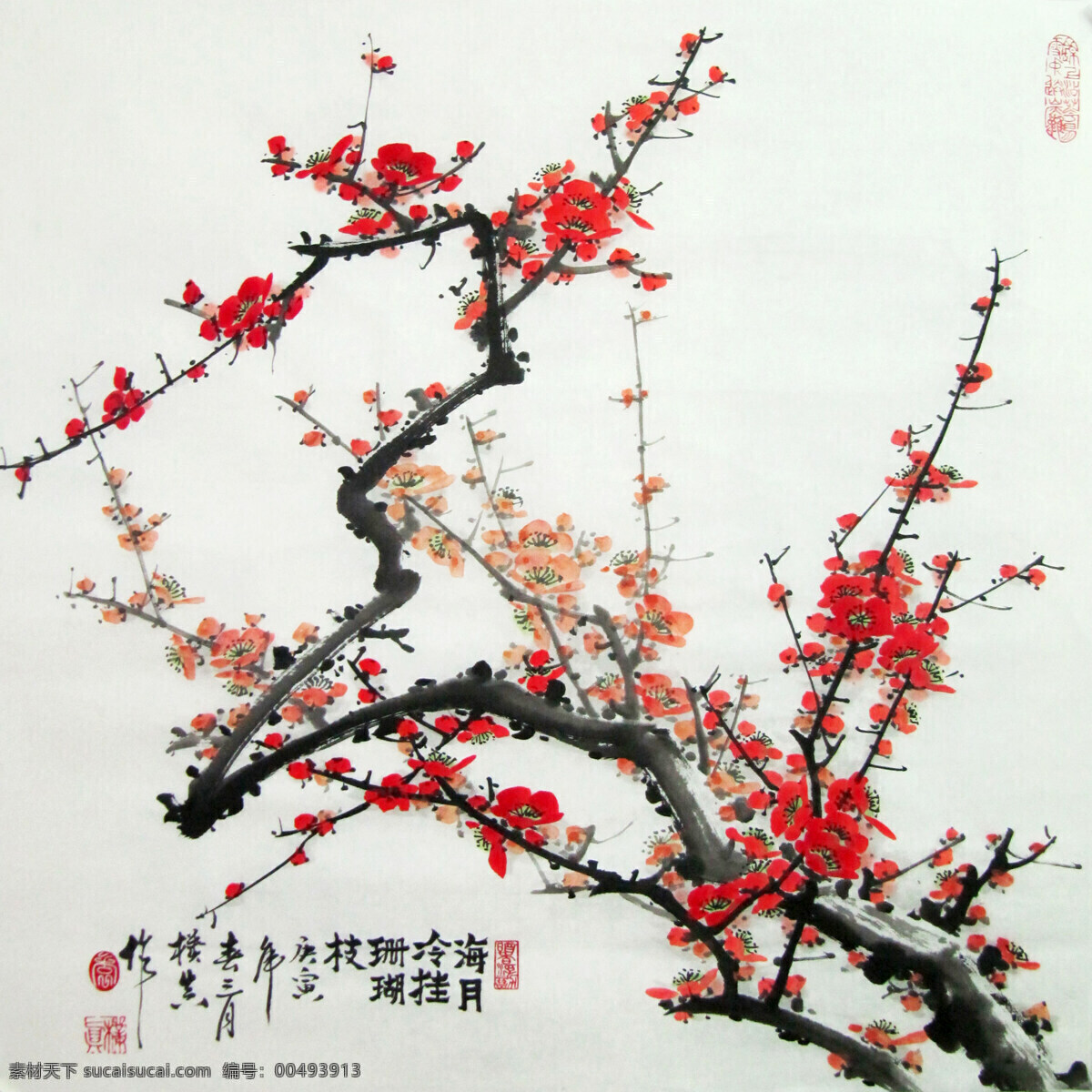 海月 冷 挂 珊瑚 枝 奔放 彩墨画 国花 国画艺术 红梅 花枝 绘画 绘画书法 月冷挂珊瑚枝 美术 中国画 水墨画 梅花画 梅花 书法 印章 梅花国画专辑 文化艺术 家居装饰素材 雕刻 图案