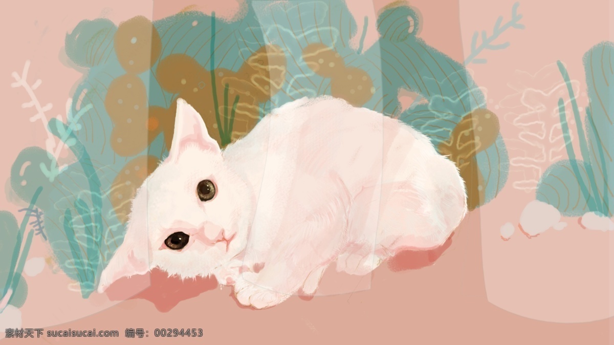 手绘猫咪图 猫 插画 动物 白毛 治愈 手绘