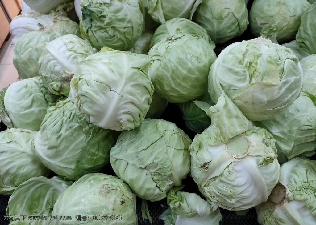 包菜 蔬菜 新鲜 食品 绿色 农业 青菜 植物 素食 维生素 有机蔬菜 菜叶 瓜 生物世界