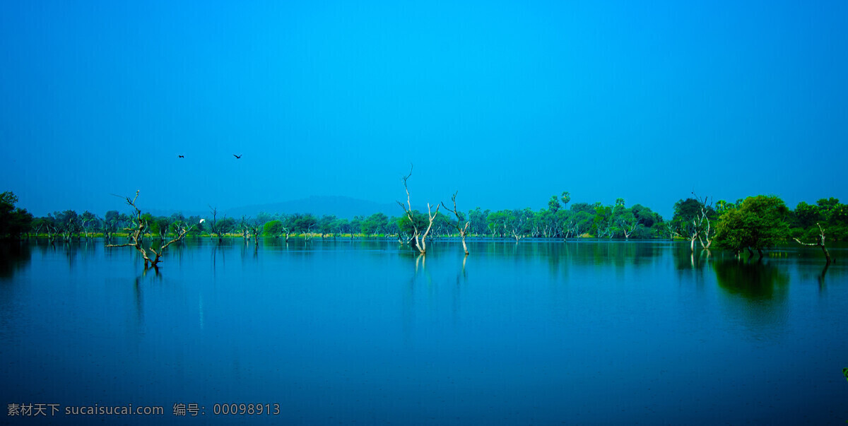 平静的湖 湖 湖水 飞鸟 绿树 淡雾 自然 风景 自然景观 自然风景