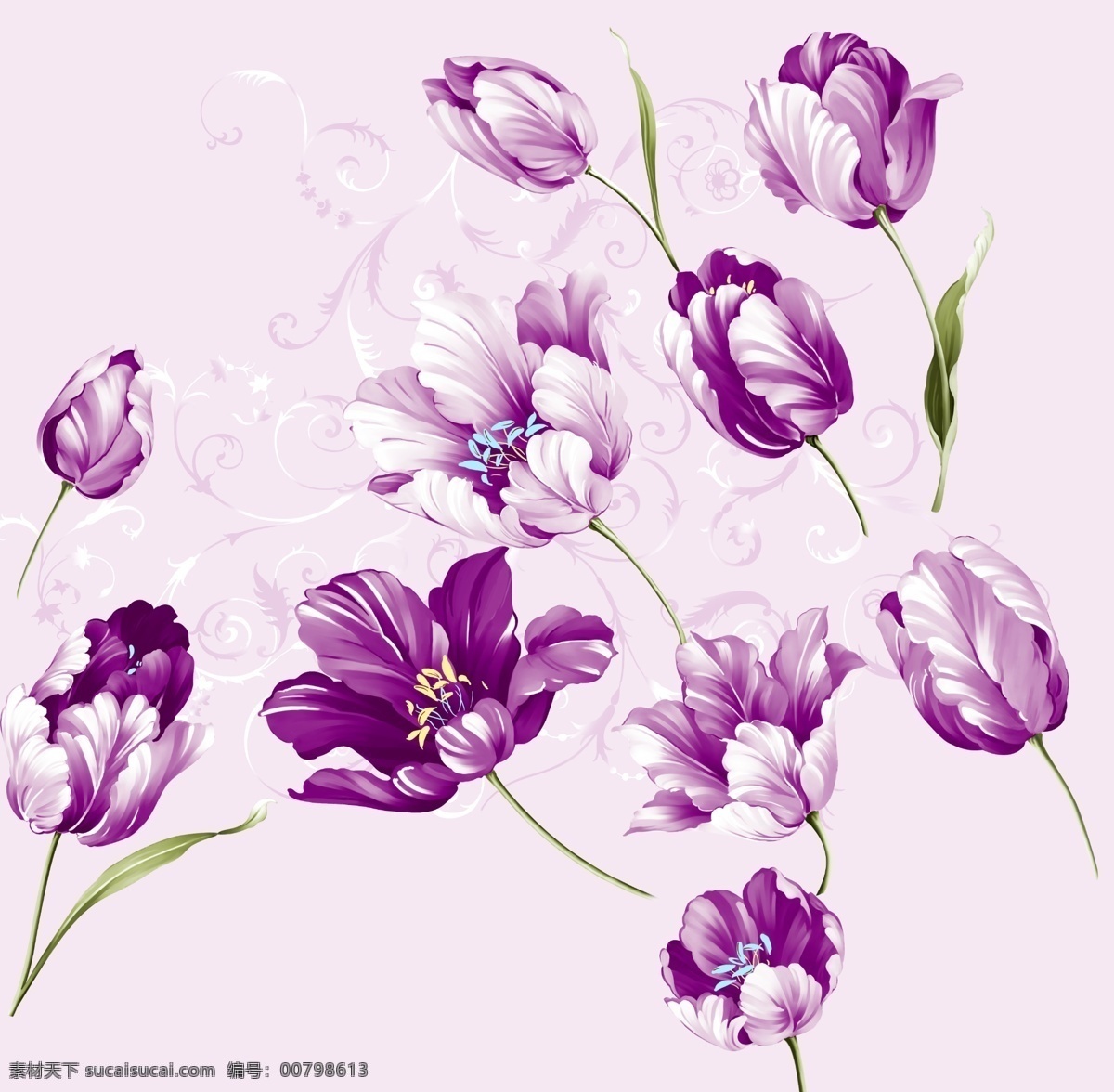 花卉 花卉素材下载 花卉模板下载 郁金香 欧式 卷草纹 纹样 图案 背景素材 绿叶 源文件