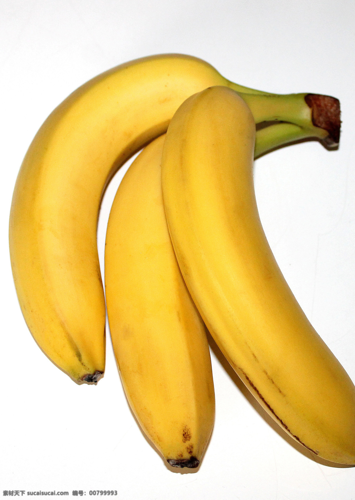 金蕉 弓蕉 水果 香蕉素材 香蕉特写 新鲜水果 水果壁纸 水果素材 水果特写 香蕉壁纸 果蔬 水果蔬菜 芭蕉科 芭蕉属