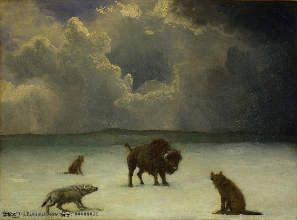 比尔 史 伯特 狼 作品 阿尔贝特 被困 美国画家 动物艺术 布法罗 水牛 历史 中心 哈德逊河学院 装饰素材 油画