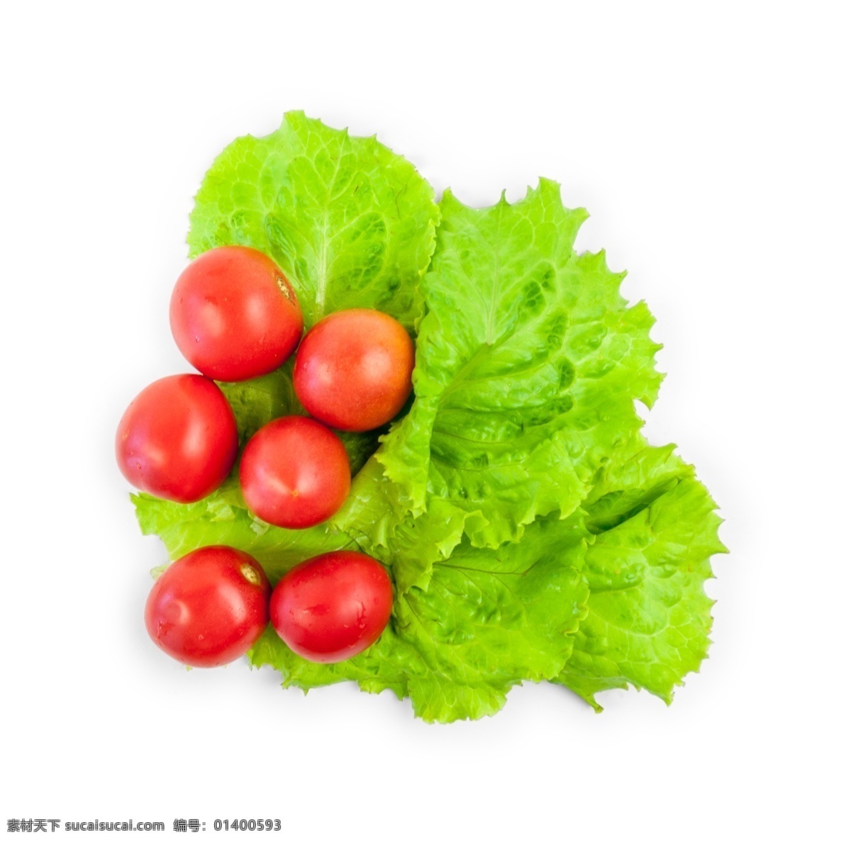 烹调 食物 新鲜 蔬菜 源文件 番茄 生菜 绿色 红色 装饰图案