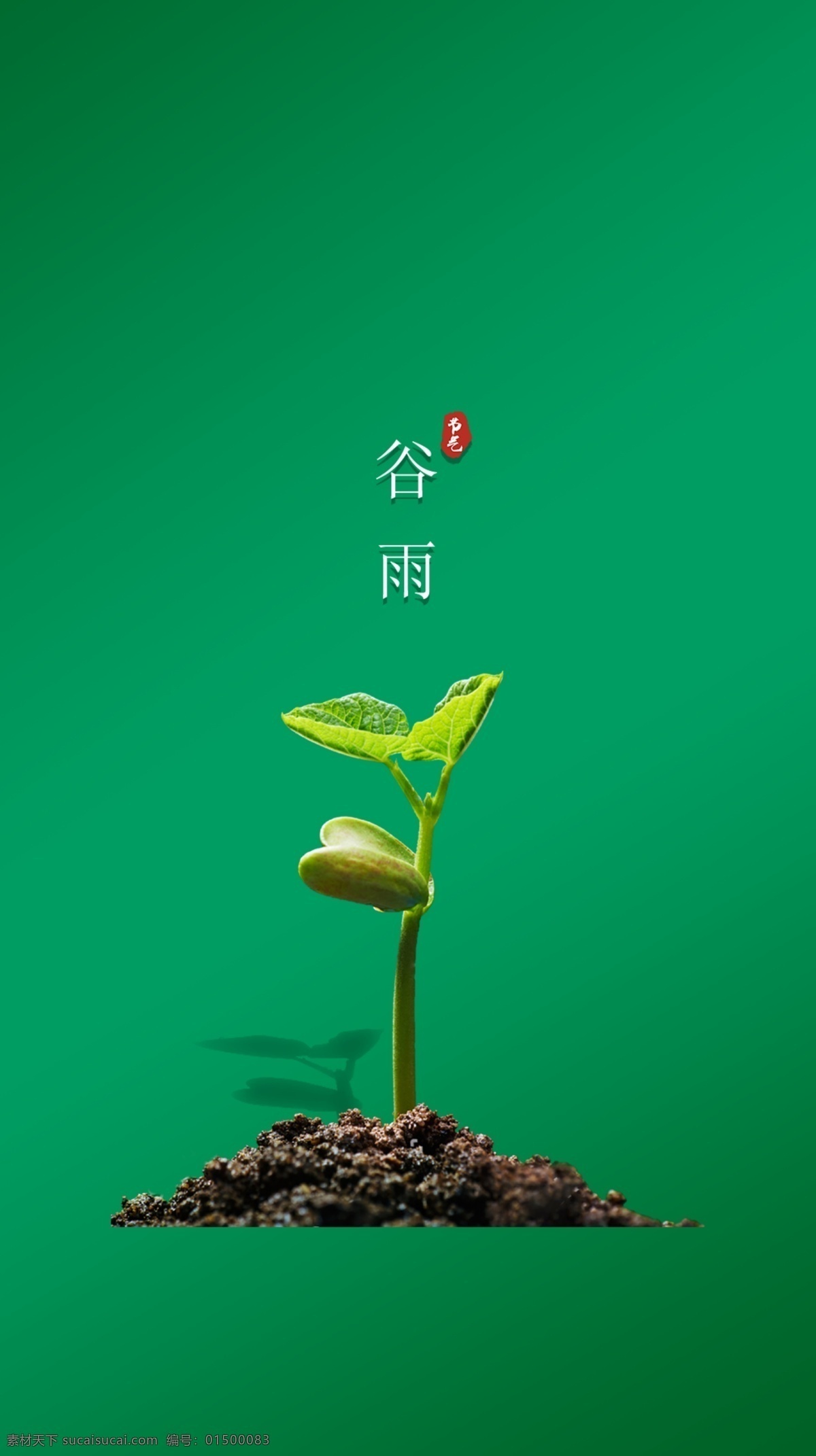 节气 绿色 树苗 种子 土壤 影子 谷雨 意境 分层