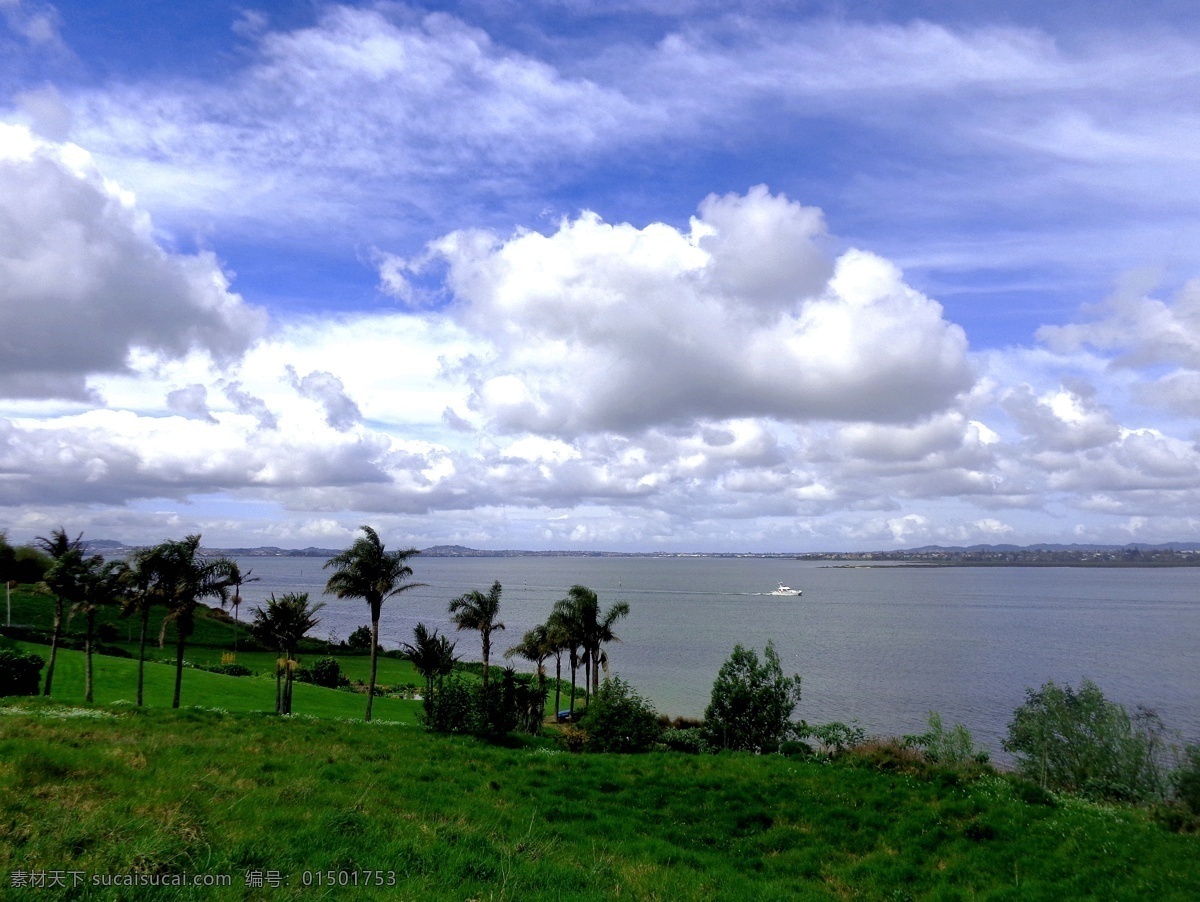 新西兰 海滨 自然风光 天空 蓝天 白云 云朵 大海 海水 海湾 山坡 绿树 棕榈树 绿地 草地 风光 自然景观 自然风景