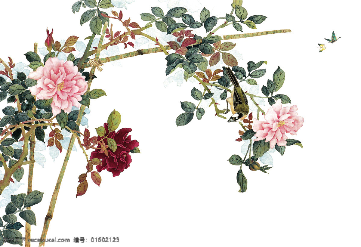 高清 蝴蝶 花朵 大图 高清背景图 蝴蝶元素 大花元素 白色