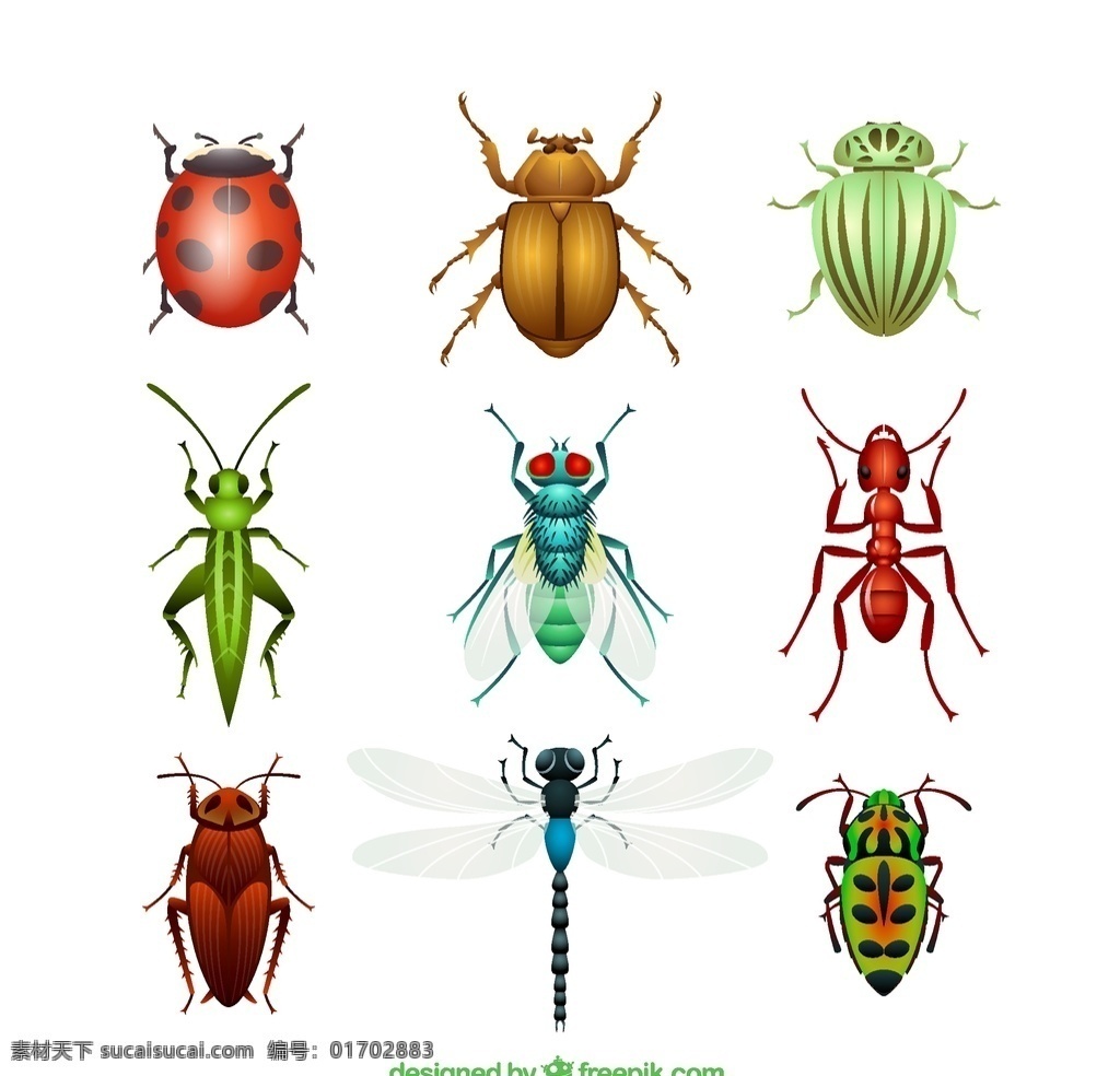 昆虫 矢量 瓢虫 金龟子 甲壳虫 苍蝇 蚂蚁 蟑螂 高清图片