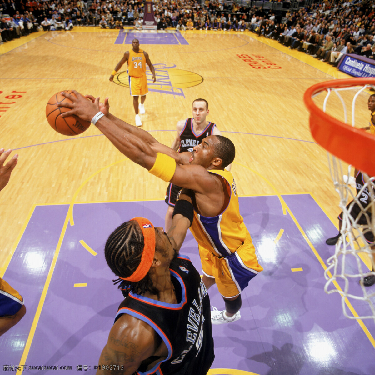 科比 nba 明星偶像 人物图库 湖人队