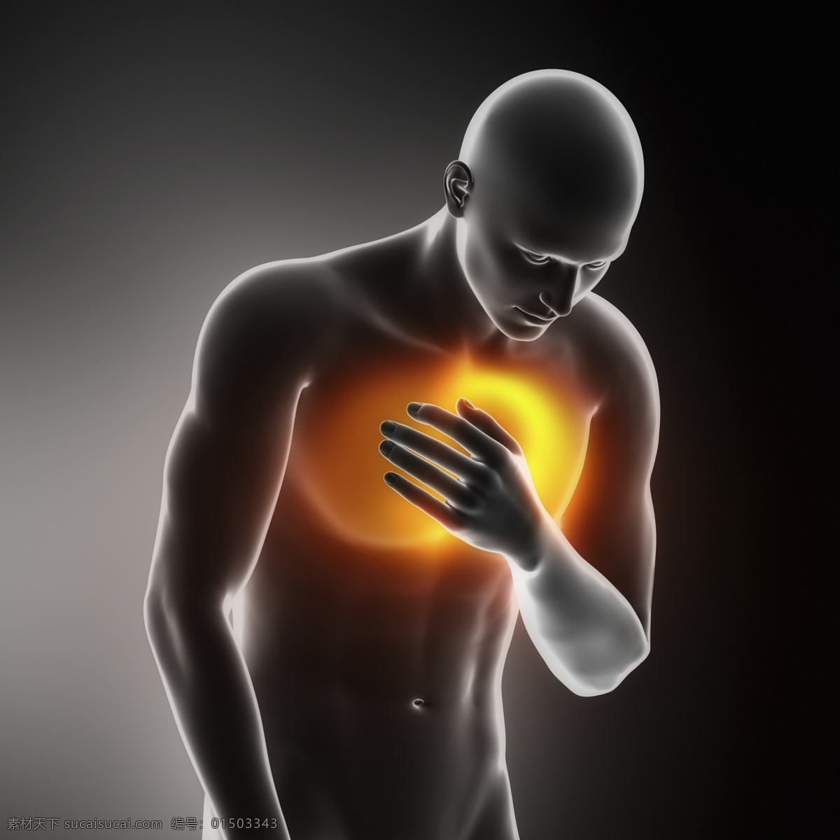 胸口 疼痛 男性 胸口疼痛 胸闷 男性人体器官 医疗科学 医学 人体器官图 人物图片