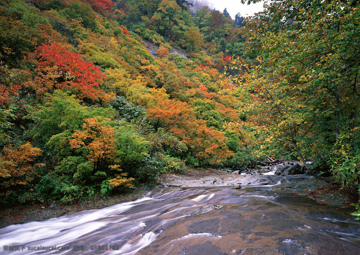 绿水青山 清溪 溪流 流水水流 水流 溪水 流水 清澈 自然景色 自然景观 自然风景 摄影图库 300