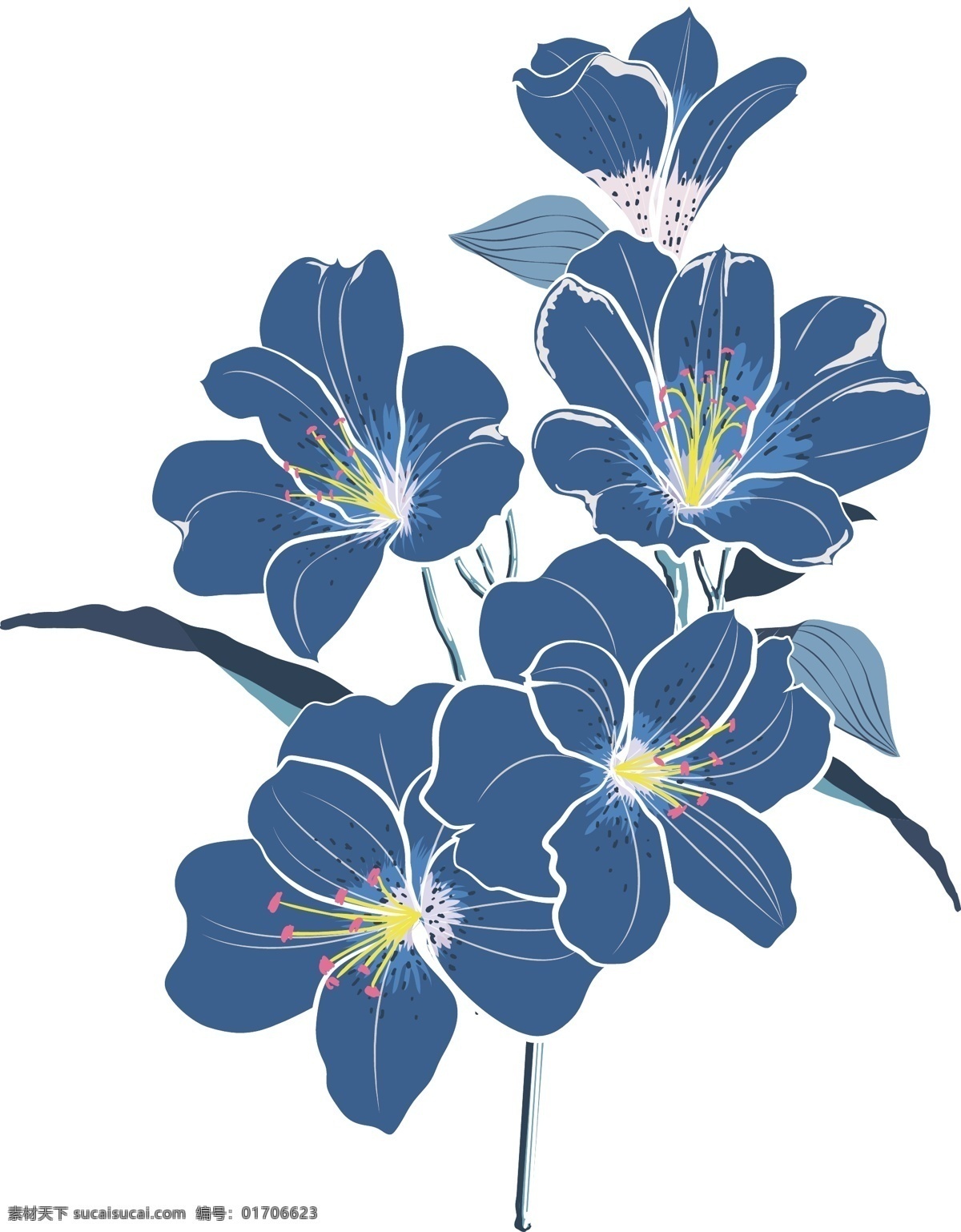 手绘 蓝色 花朵 植物 蓝色花朵植物 卡通花朵 蓝色花朵 花卉植物